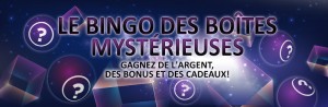 Bingo boite mystérieuse